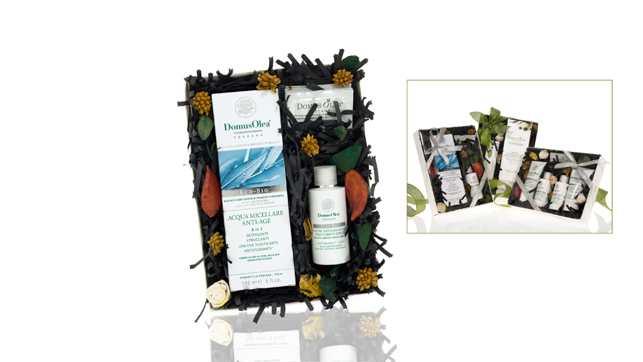 DOMUS OLEA, Victor Philippe