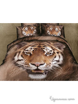 Комплект постельного белья 1.5-спальный Kazanov.A., цвет бежевый, коричневый