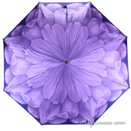 Зонт механический Pasotti женский, цвет сиреневый / синий