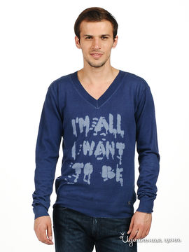 Пуловер Мультибренд мужской, цвет синий / голубой