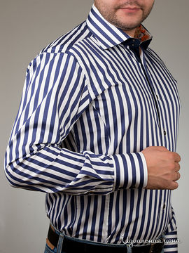 Рубашка Jess France мужская, цвет синий / принт полоска
