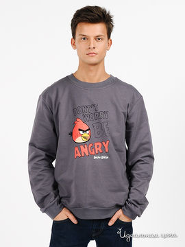 Джемпер Angry birds мужской, цвет темно-серый