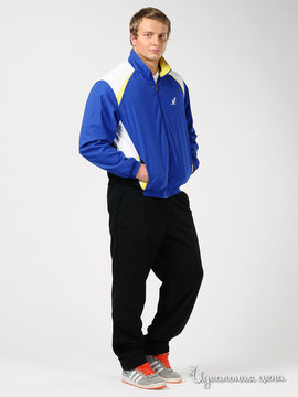Костюм спортивный Australian мужской, цвет синий / черный