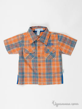 Рубашка VIDay Collection для мальчика, цвет оранжевый