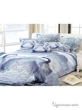 Комплект постельного белья Buenos Noches 2-х спальный, цвет мультиколор