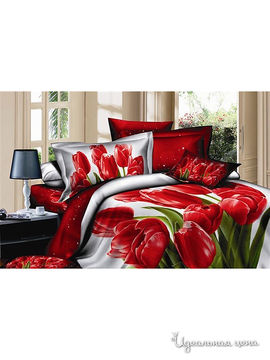 Комплект постельного белья евро "kazanov.a." "Тюльпаны", белый, красный