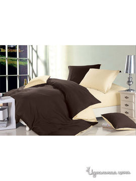Комплект постельного белья семейный Dream time store, коричневый, бежевый