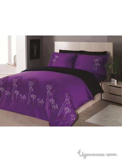 КБП Евро Cotton Box, цвет мультиколор