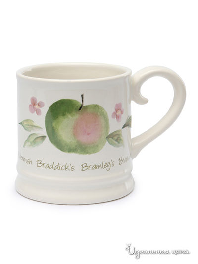 Кружка David Mason Design, цвет мультиколор