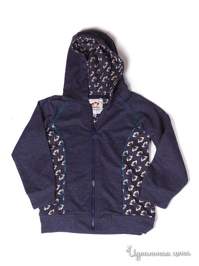 Толстовка Appaman, цвет синий