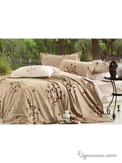 Комплект постельного белья 1,5-спальный Shinning Star, цвет бежевый