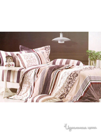 Комплект постельного белья Семейный Shinning Star, цвет коричневый, бежевый