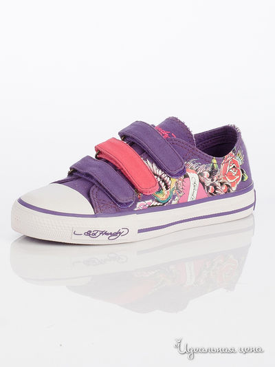 Кеды Ed Hardy, цвет фиолетовый
