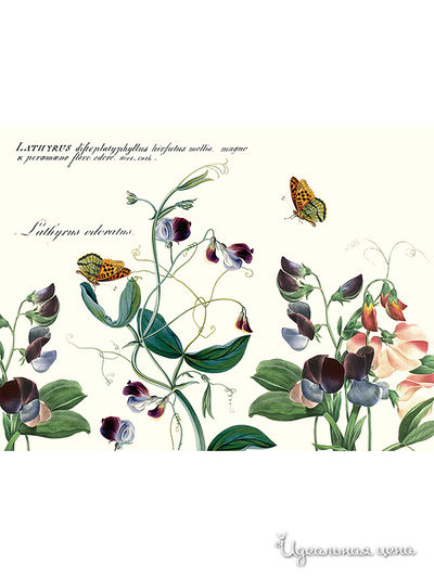 Доска разделочная David Mason Design, цвет мультиколор