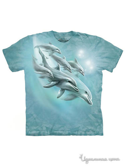 Футболка Mountain, цвет голубой