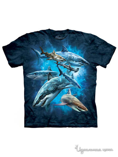 Футболка Mountain, цвет синий