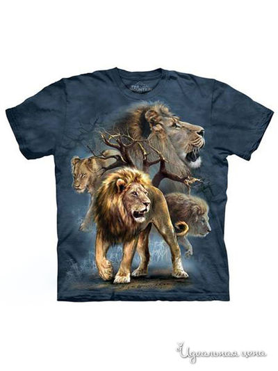 Футболка Mountain, цвет синий