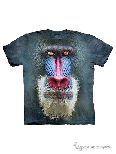 Футболка Mountain, цвет серый