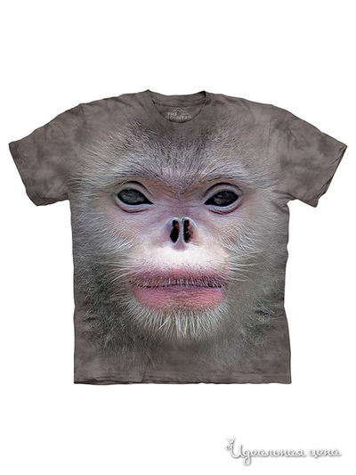 Футболка Mountain, цвет серый