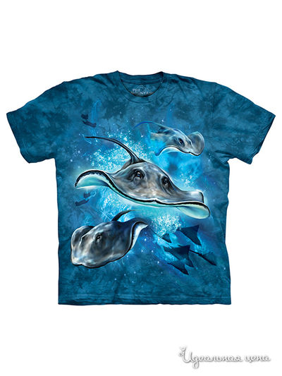 Футболка Mountain, цвет синий