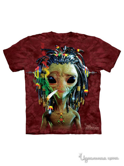 Футболка Mountain, цвет красный