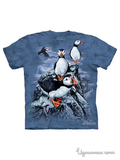 Футболка Mountain, цвет голубой