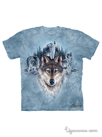 Футболка Mountain, цвет голубой