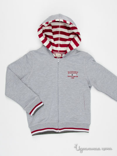 Толстовка Monnalisa, цвет серый