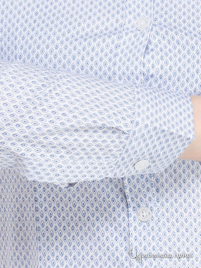 Рубашка Roberto Cavalli, цвет белый, синий