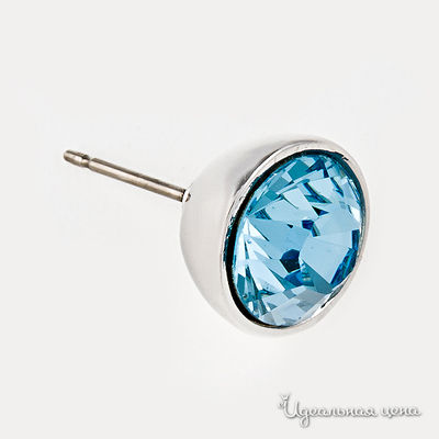 Гвоздики Crocus