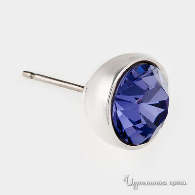 Гвоздики Crocus