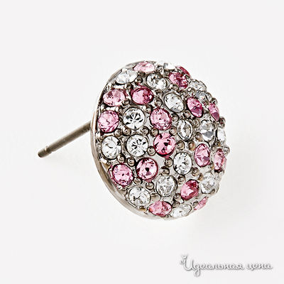 Гвоздики Crocus