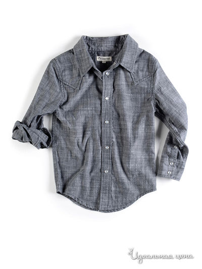 Рубашка Appaman, цвет серый