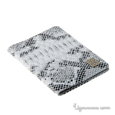 Обложка Девять Драконов