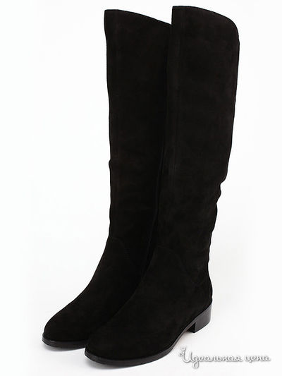 Сапоги Shelly, цвет черный