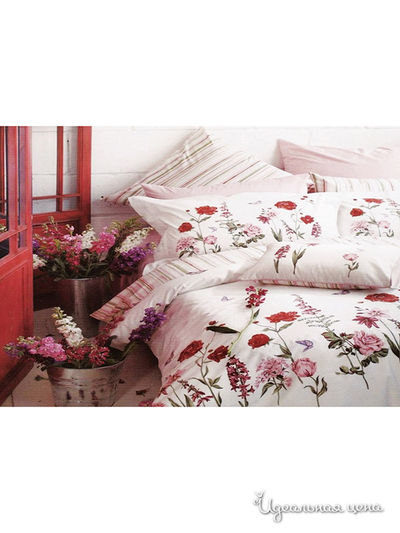 Комплект постельного белья 2-х спальный Shinning Star, цвет Кордилена