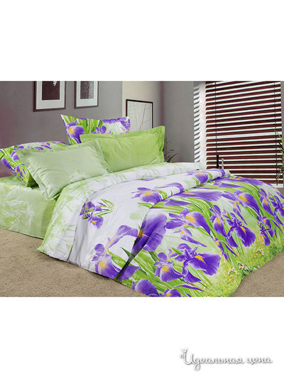 Комплект постельного белья двуспальный Pastel, цвет фиолетовый, зеленый