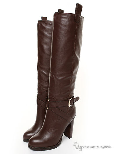 Сапоги Shelly, цвет коричневый