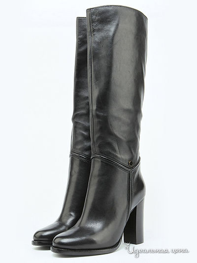 Сапоги Shelly, цвет черный