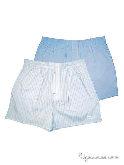 Трусы Hustler Lingerie, цвет белый, голубой