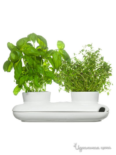 Двойной горшок для растений Sagaform, цвет белый