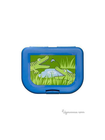 Контейнер для ланча Sagaform, цвет синий, зеленый