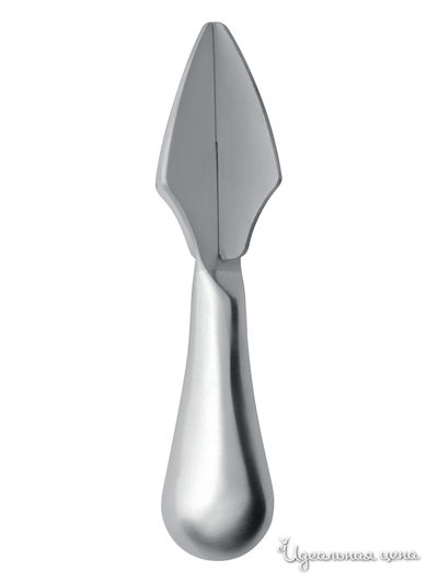 Соковыжималка Horwood, цвет серебряный