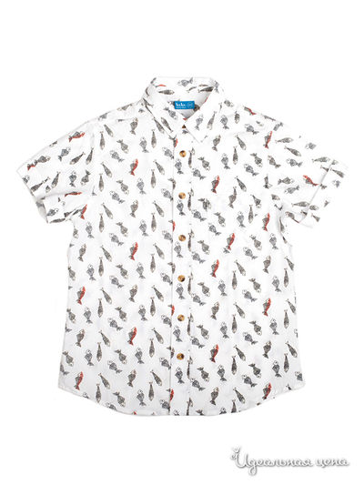 Рубашка Button Blue, цвет белый