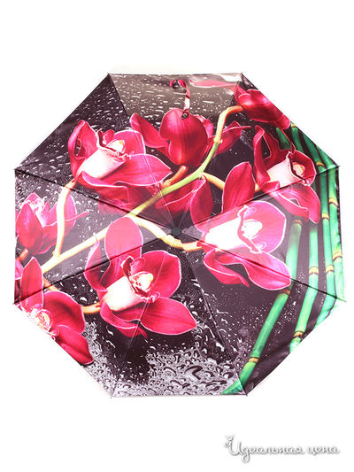 Зонт Flioraj, цвет мультиколор
