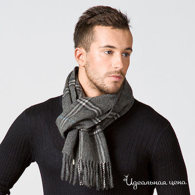 Шарф Renato Balestra, цвет цвет серый