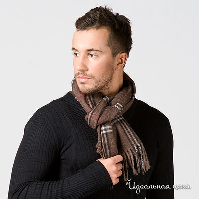 Шарф коричневый Renato Balestra