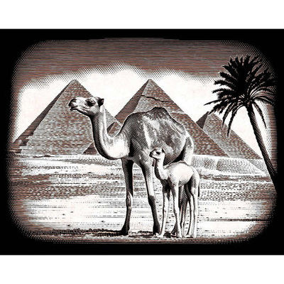 Гравюра Reeves (Oasis)