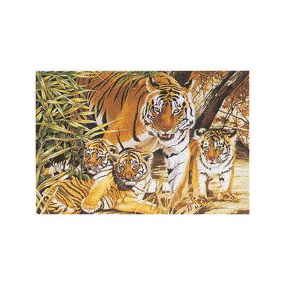 Набор для раскрашивания Reeves (Oasis)