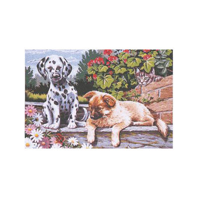 Набор Reeves (Oasis)